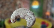 Rękodzieło z duszą i historią. Siostry z Poznania stworzyły miejsce pełne emocji i sztuki