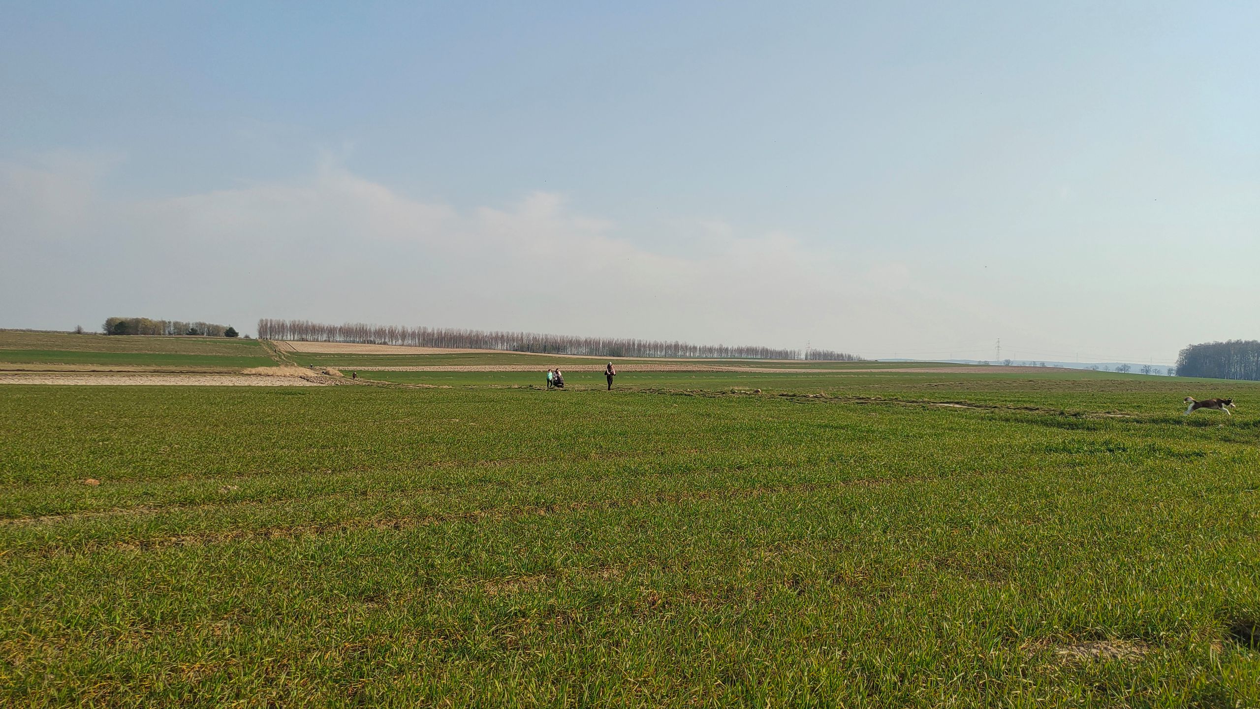 vivo NEX 3S 5G: wrażenia po kilku dniach. To nie jest zwyczajny smartfon 9