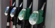 Orlen, BP, Shell i Circle K, Amic – jak działają wakacyjne promocje na paliwa?
