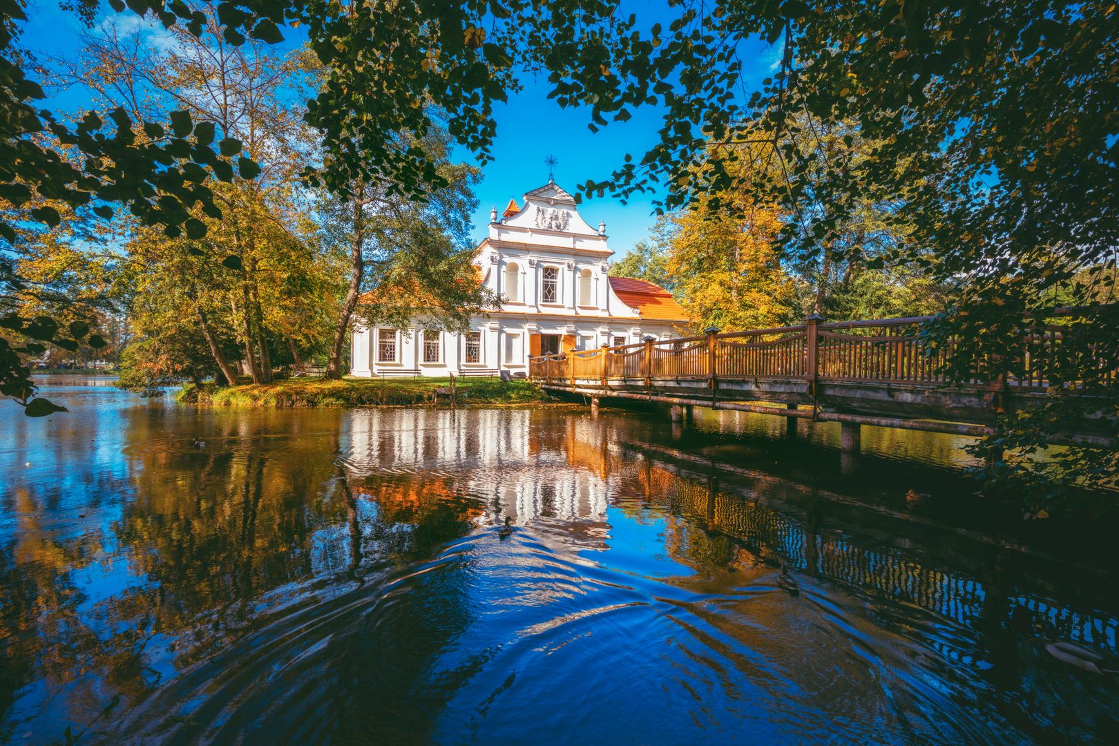 Zwierzyniec/ ilustracja