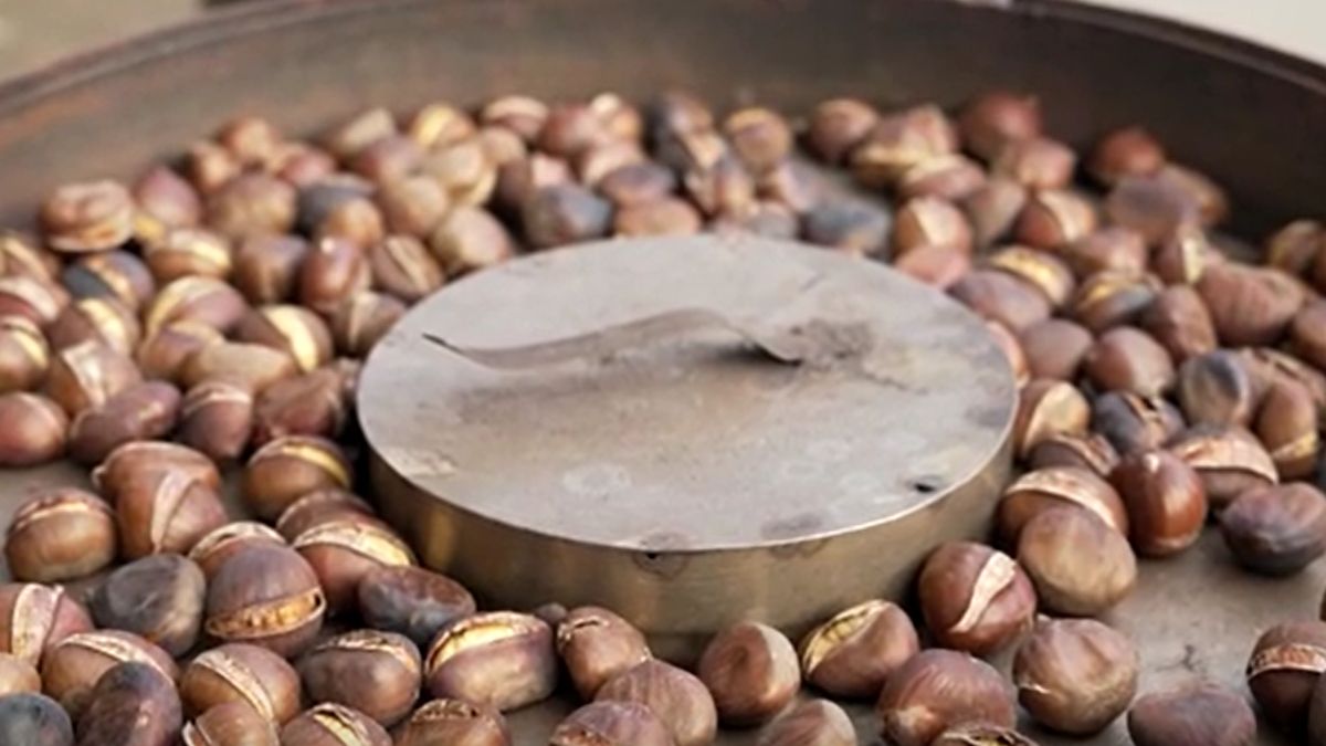 Gorące kasztany na warszawskich Powązkach