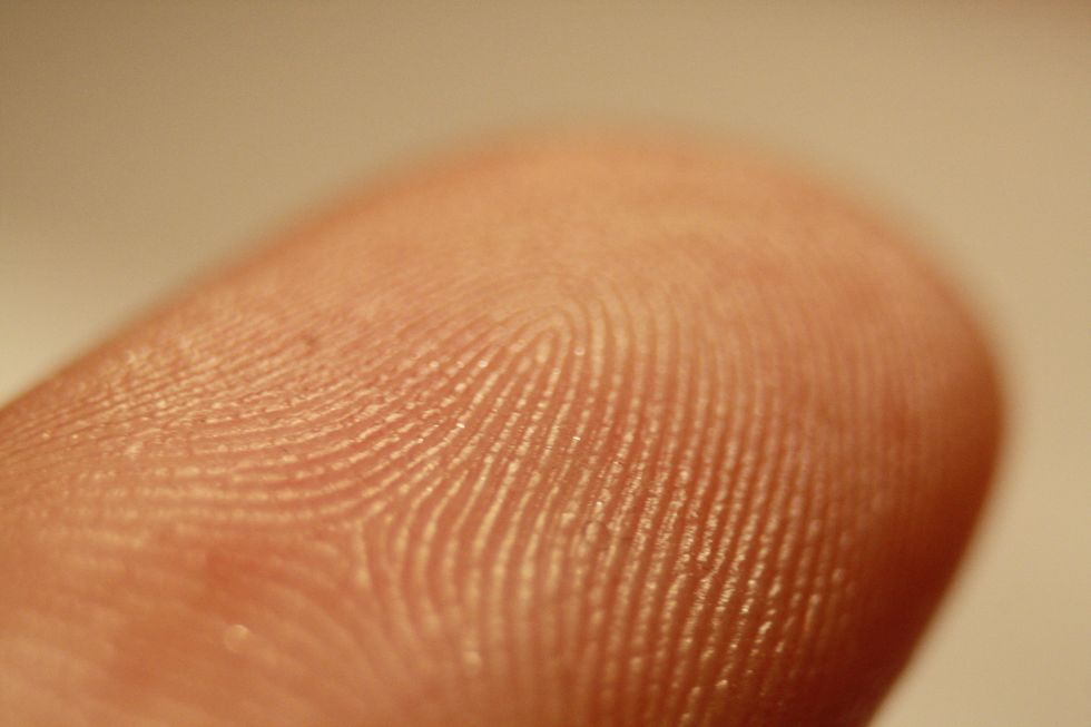 Fujitsu PalmSecure - układ krwionośny w roli osobistego klucza 4