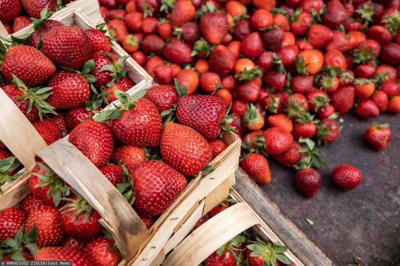 Wzrosły ceny truskawek w hurcie. Efekt złej pogody oraz kupców z Litwy