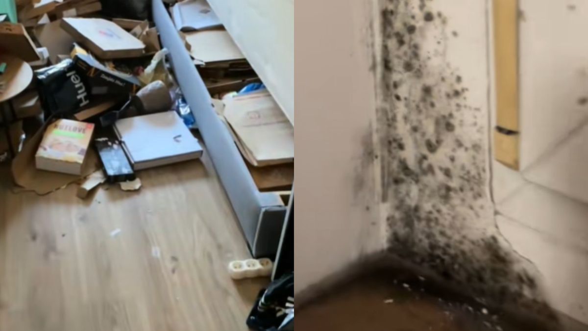 Nagranie ze sprzątania mieszkania po 4-letnim najmie