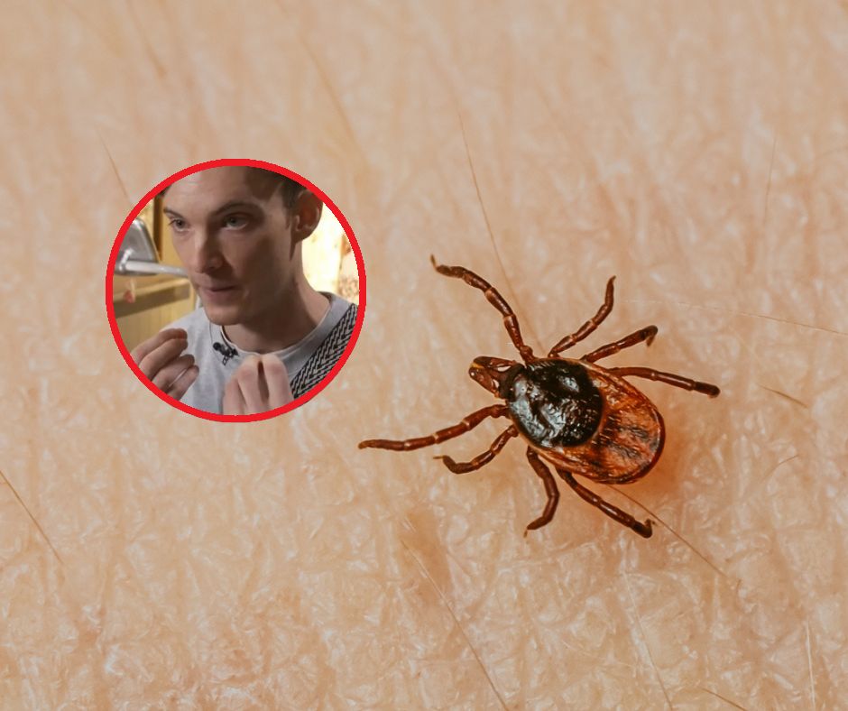 Cierpi na rzadkie zaburzenie po ukąszeniu kleszcza. "Czekam na śmierć"