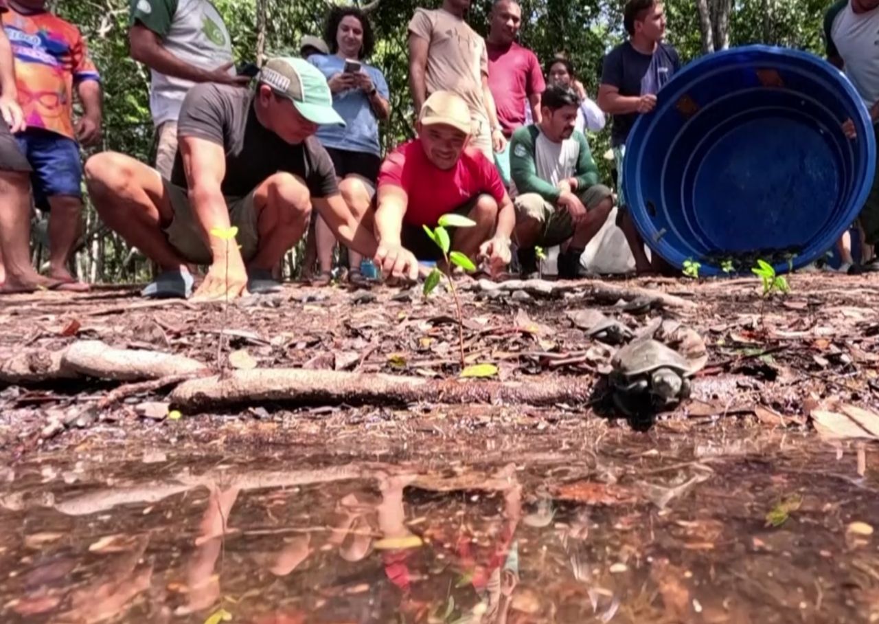 Wyjątkowa akcja w Brazylii. Półtora tysiąca maluchów ruszyło w świat