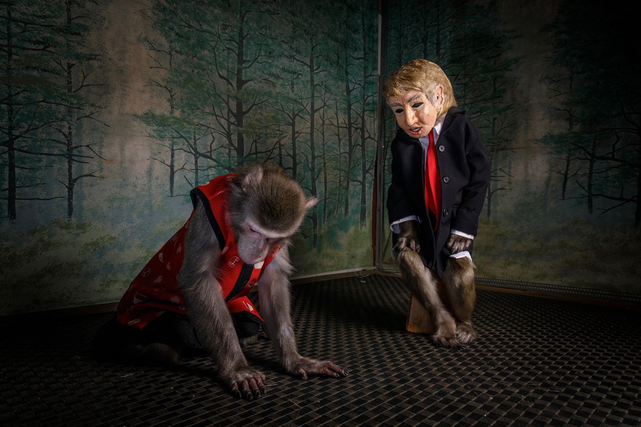 World Press Photo 2018 – znamy nazwiska nominowanych fotografów 78