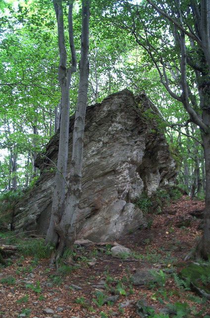 W pobliżu szczytu znajduje się pomnik przyrody - Skała Dobosza