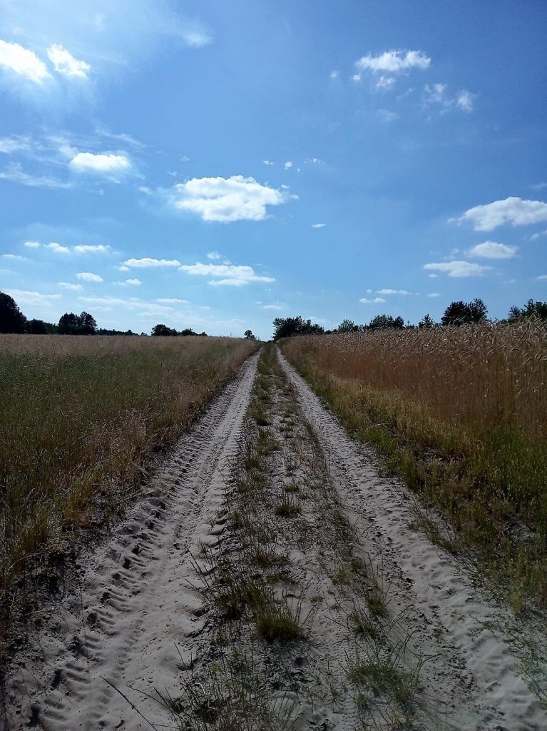 szlak rowerowy częstochowa
