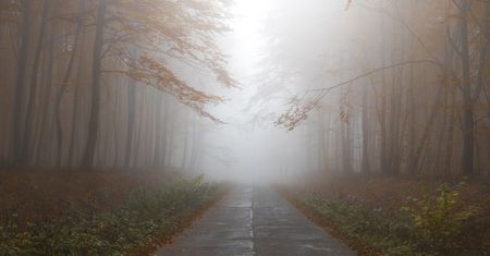 Stracił panowanie nad samochodem i dachował. Groźne zdarzenie w miejscowości Rzy