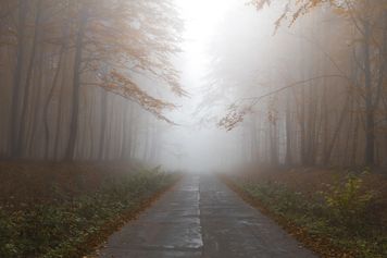 Stracił panowanie nad samochodem i dachował. Groźne zdarzenie w miejscowości Rzy
