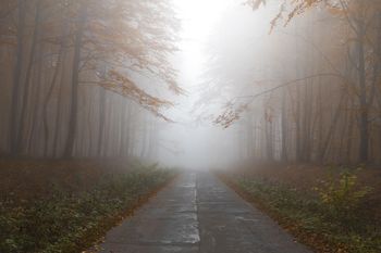 Stracił panowanie nad samochodem i dachował. Groźne zdarzenie w miejscowości Rzy