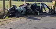 Powiat wyszkowski: BMW uderzyło w łosia. Kierowca nie żyje