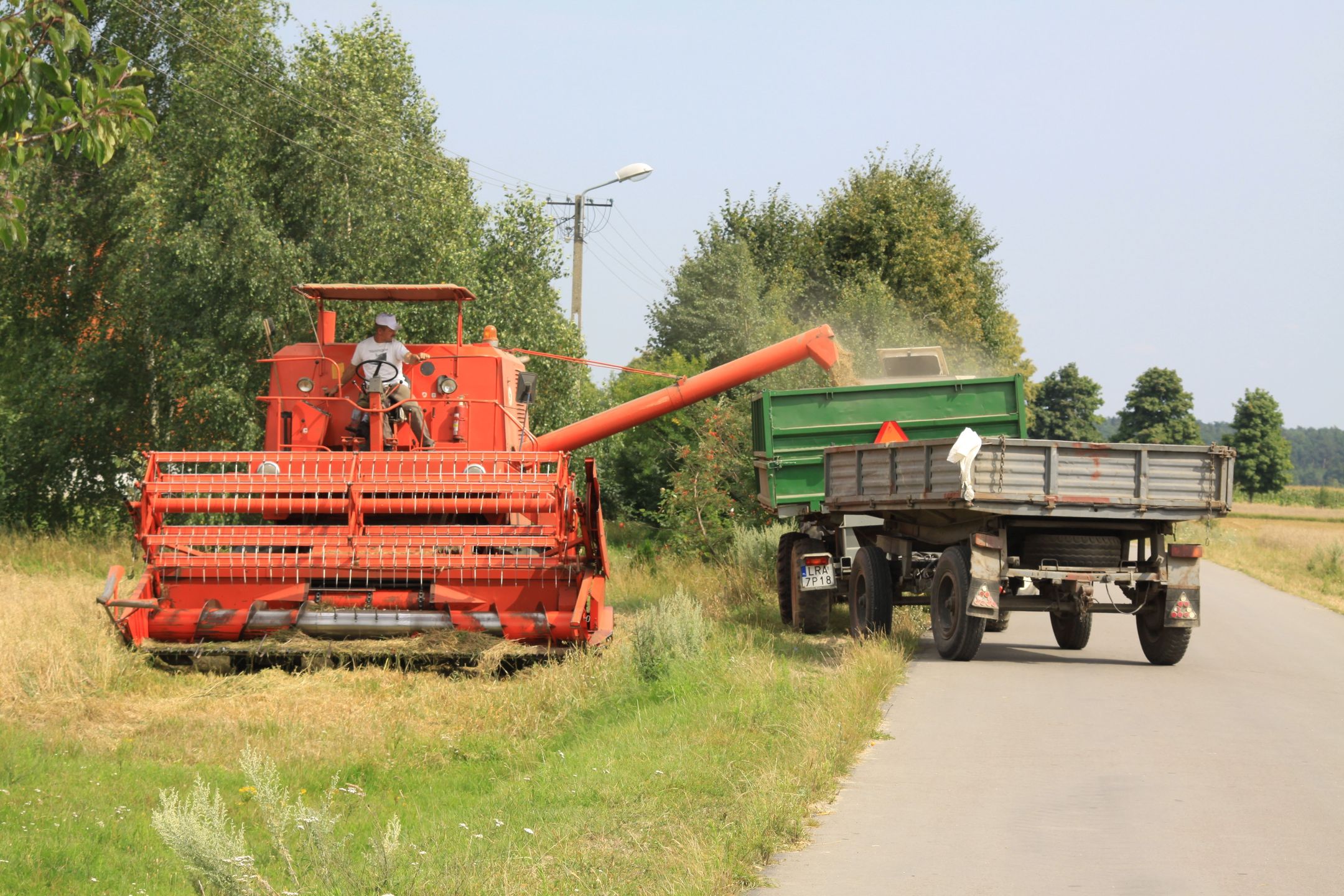 kombajn, bizon, żniwa, maszyna rolnicza, rolnictwo, gospodarstwo, gospodarka, zboże, pszenica, koszenie, prace polowe, żyto, owies