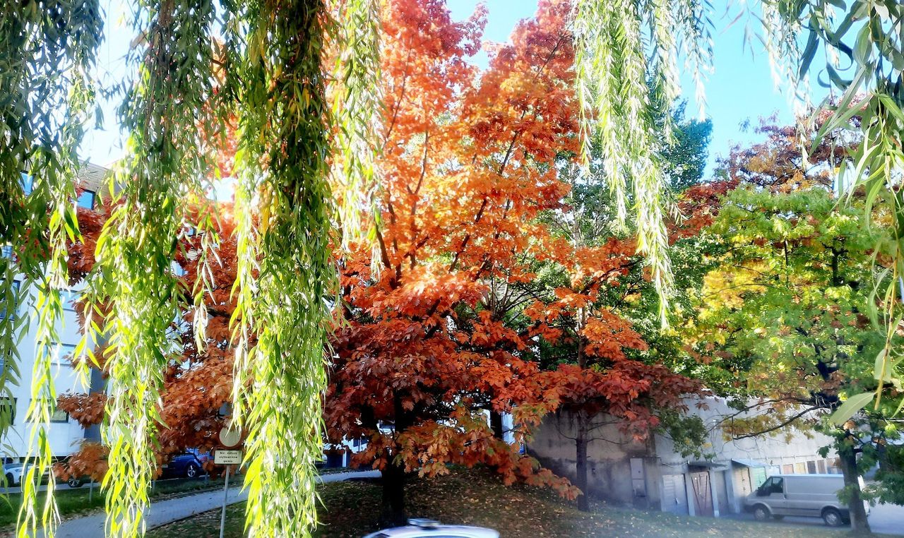 Województwo łódzkie: Prognoza pogody na środę 22 października