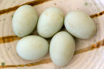 Przed laty każdy znał smak tych jajek. Dziś wielu się dziwi, że są jadalne