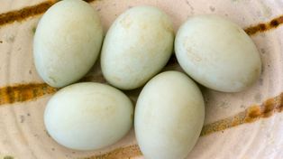 Przed laty każdy znał smak tych jajek. Dziś wielu się dziwi, że są jadalne