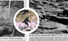 Wielka stopa to kuzyn yeti? Relacje i mistyfikacje zbierane od lat