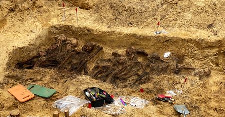 Warszawa. Szczątki ponad 20 osób w leśnym grobie. Odkrycie IPN
