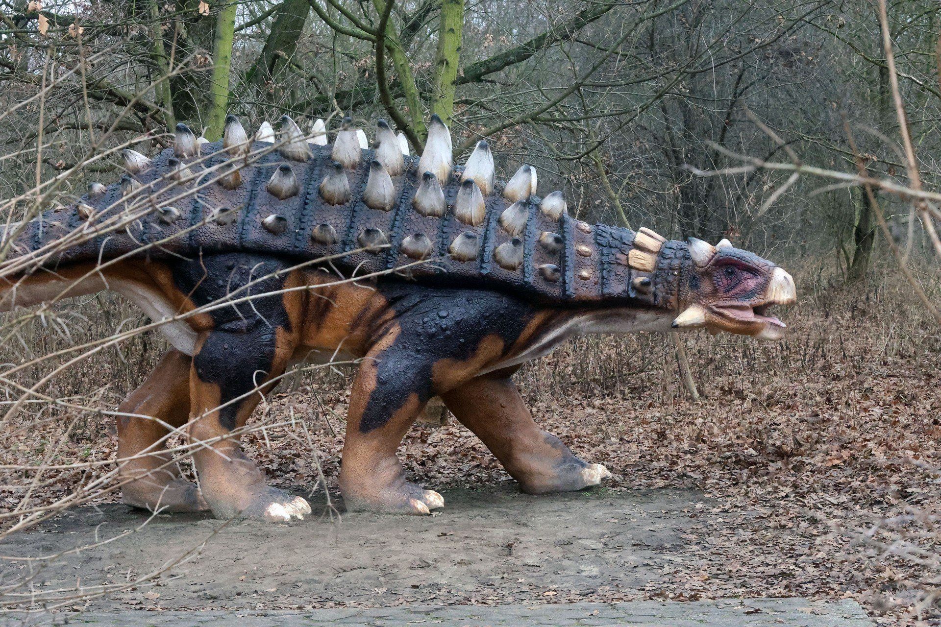 Tegoroczny Bieg Dinusia zostanie wyznaczony Szlakiem Zwierząt Wymarłych w ZOO w Lubinie. Dzieci pobiegną na rzecz chorego Adasia. 