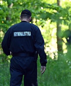 Śmierć 18-latki w Kamieniu Pomorskim. Bezkompromisowy głos z obozu Ziobry