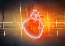 Serce – anatomia człowieka. Gdzie jest serce i jak jest zbudowane ?