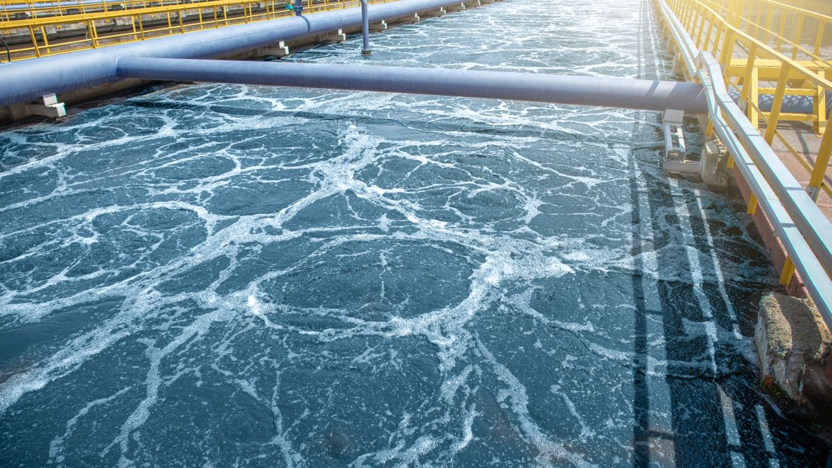 Miliony na polską technologię. Ma pomóc w walce z superbakterią 1