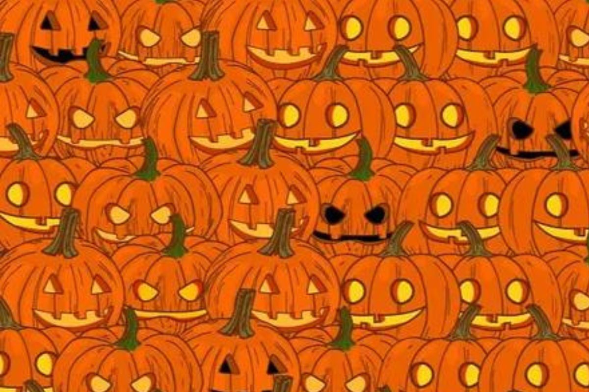 A challenging pumpkin riddle. Only 5 percent of people can solve it
