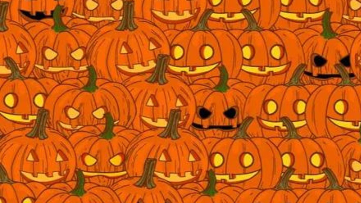 Sprawdź swoją spostrzegawczość! 