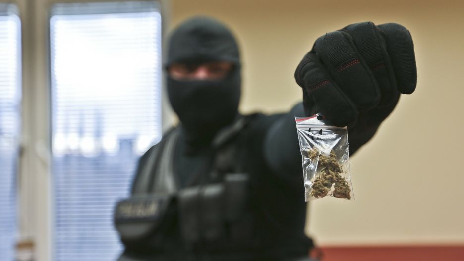 Reporter baza 2020-06-a
16.02.2016 Zielona Gora Narkotyki N/z Policjant trzyma w rece woreczek strunowy z marihuana   fot. Piotr Jedzura/REPORTER
Piotr Jedzura/REPORTER
