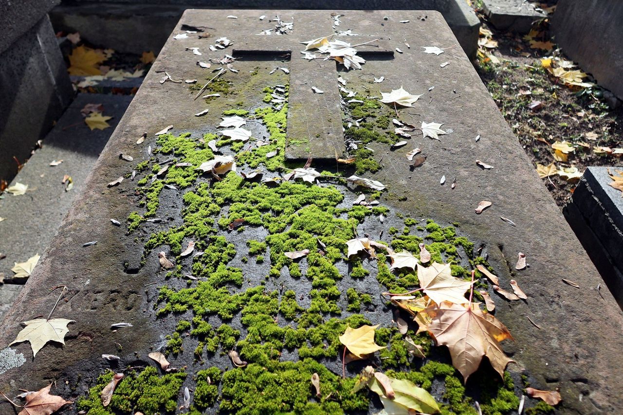 Dwadzieścia lat, a potem grób znika. Albo należy zapłacić za przedłużenie miejsca na cmentarzu