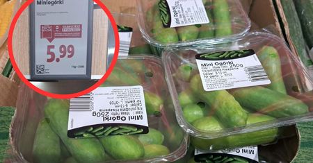 Mini ogórki, maxi cena. Za kilogram tych warzyw z Lidla zapłacimy tyle, co za mięso