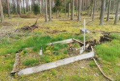 W lesie znaleziono masowy grób żołnierzy. Odkrycie badaczy w woj. wielkopolskim