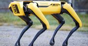 Czy twój robot umie sikać piwem do kubka? Ten potrafi