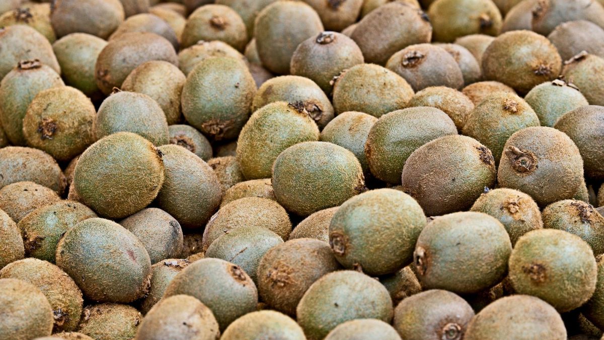 Owoc, który działa jak naturalny regulator trawienia. Pomoże uporać się z zaparciami