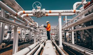 Ceny ropy pikują. Analitycy wskazują na raporty OPEC+ oraz IEA