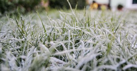 IMGW nie ma wątpliwości. Pojawią się przymrozki. Prognoza na weekend