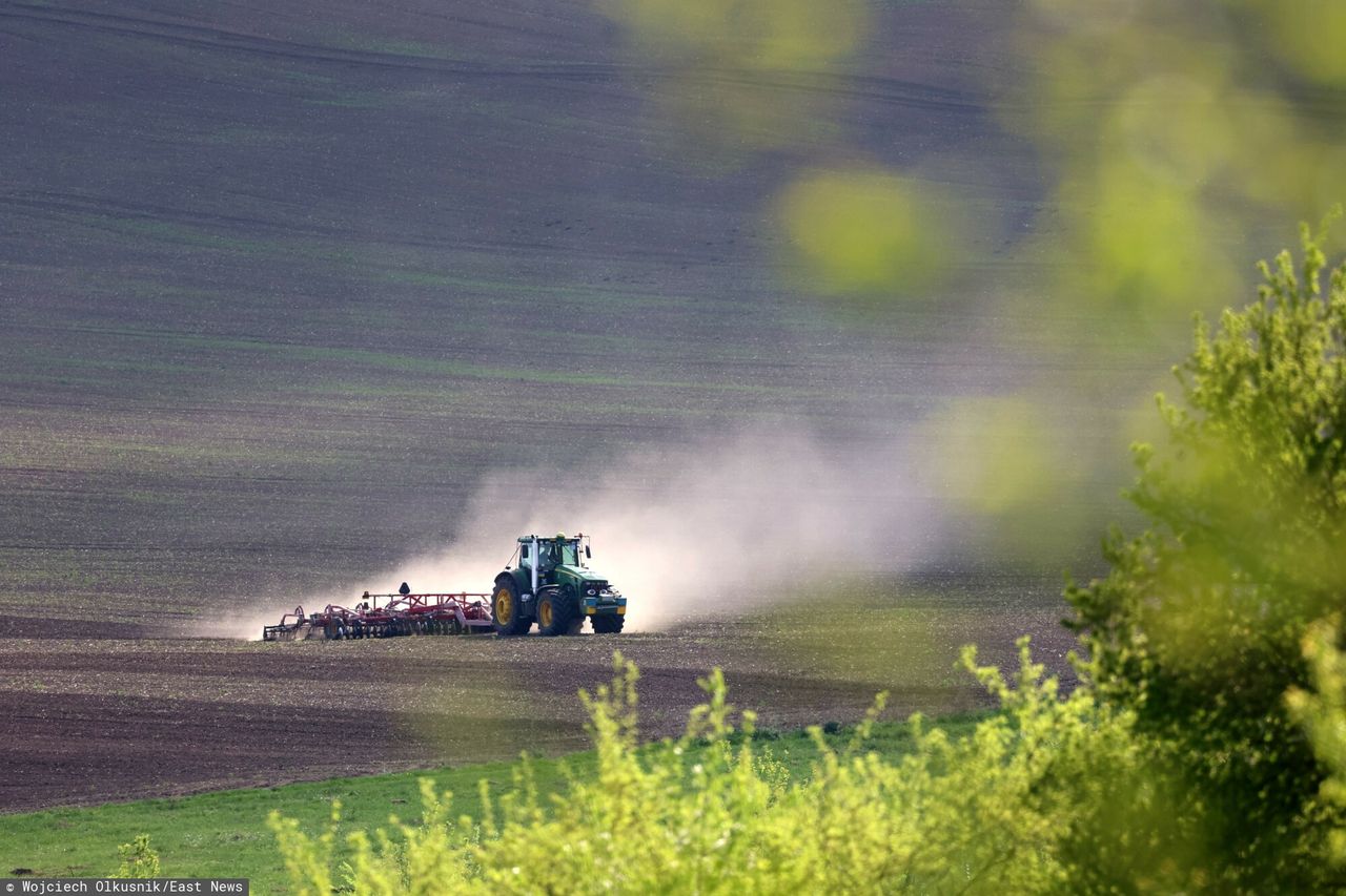 Rolnik emeryt. Oto jaką emeryturę dostanie po 25 latach