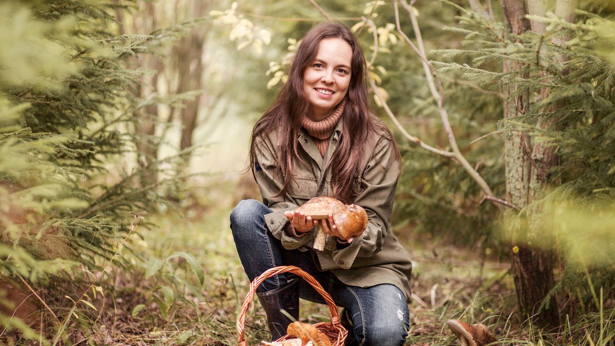 Lista najzdrowszych grzybów z polskich lasów