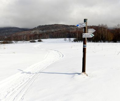 Karkonosze. Nie żyje narciarz przysypany przez lawinę. Był reanimowany