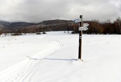 Karkonosze. Nie żyje narciarz przysypany przez lawinę. Był reanimowany