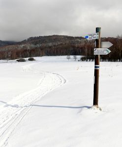 Karkonosze. Nie żyje narciarz przysypany przez lawinę. Był reanimowany