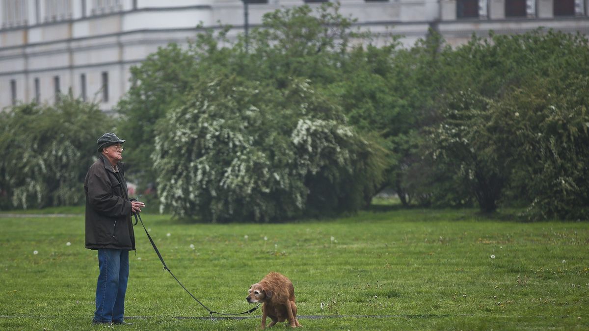 Spacer z psem/ zdjęcie ilustracyjne
