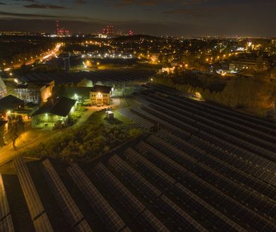 Tauron ogłasza drogę do neutralności klimatycznej