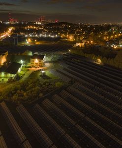 Tauron ogłasza drogę do neutralności klimatycznej