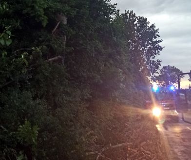 Burze na Śląsku. Grad jak kurze jaja, zniszczone auta, połamane drzewa. Setki interwencji