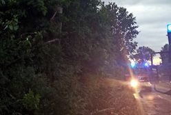 Burze na Śląsku. Grad jak kurze jaja, zniszczone auta, połamane drzewa. Setki interwencji