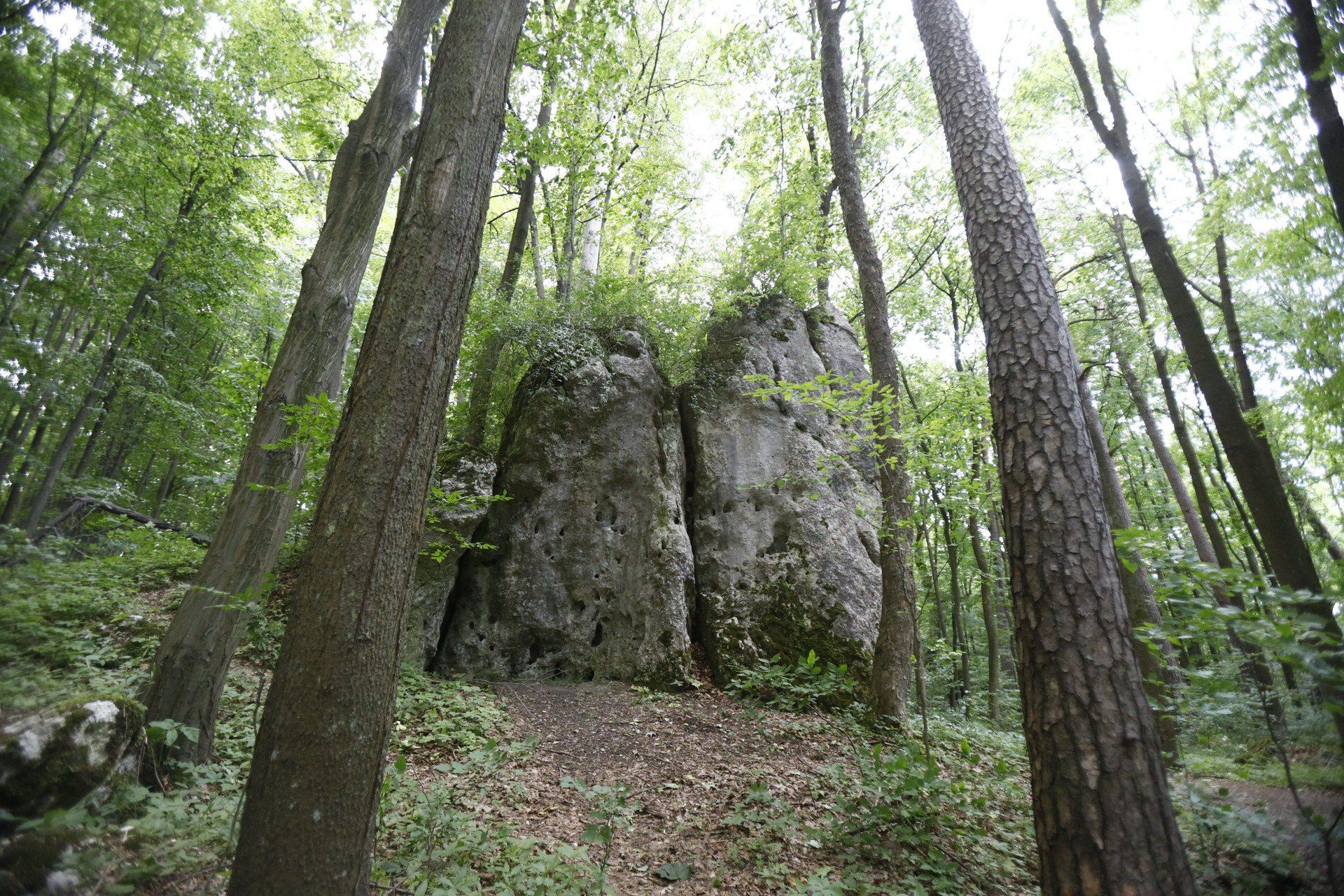 Rezerwat Przyrody &#34;Parkowe&#34;
