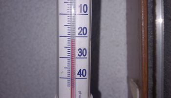 To nie fotomontaż. Leśnicy pokazali termometr