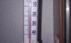 To nie fotomontaż. Leśnicy pokazali termometr